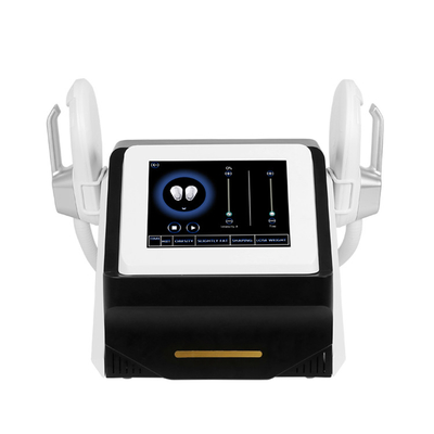 1mhz Infrarode Ultrasone het Vermageringsdieetmachine van EMS